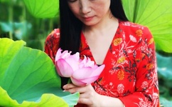 新恋爱时代 影音